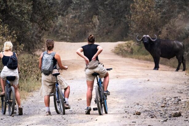 Hell’s Gate hike and bike